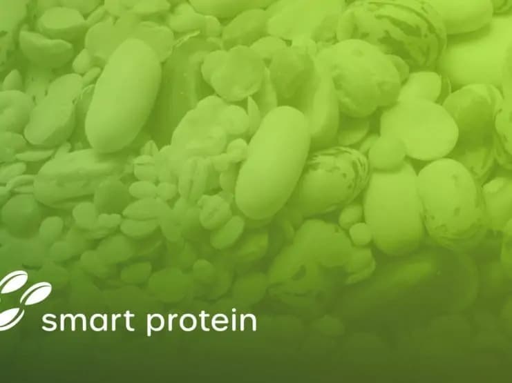 Smart Protein Project