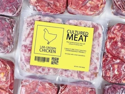 viande issue de culture cellulaire