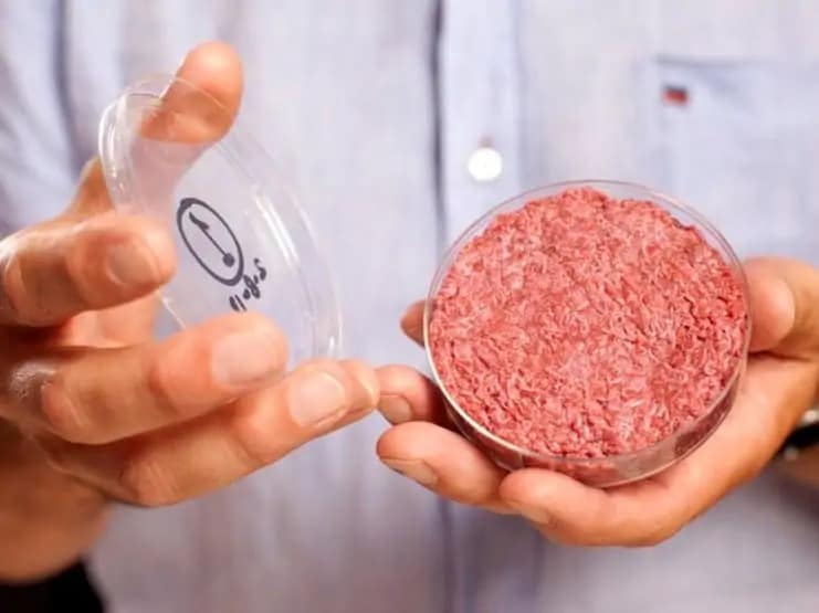 mosa meat