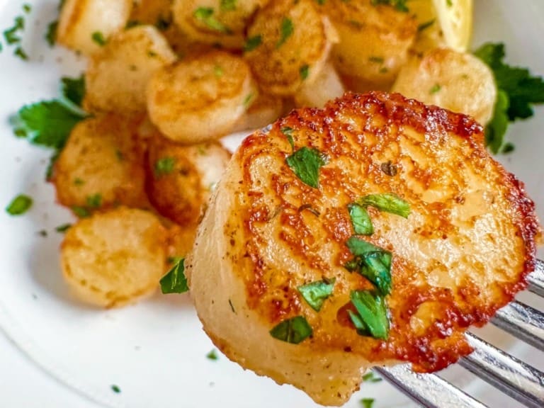 The Plant Based Seafood Co.