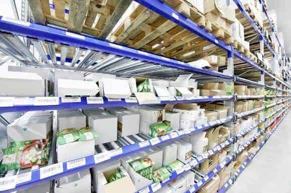 Absolute_Vegan_Empire_Frischelager