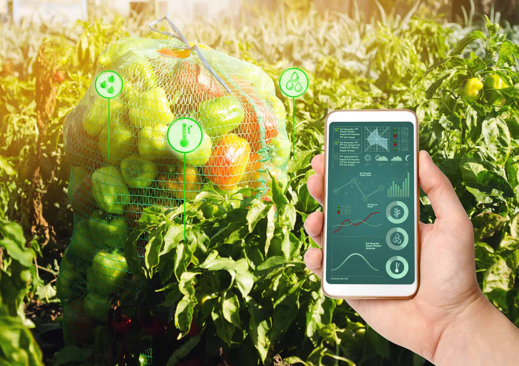 Agro Technologie 