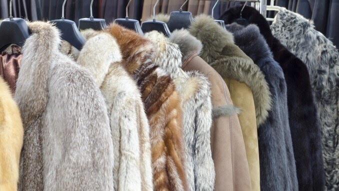 Row of coats made of animal fur