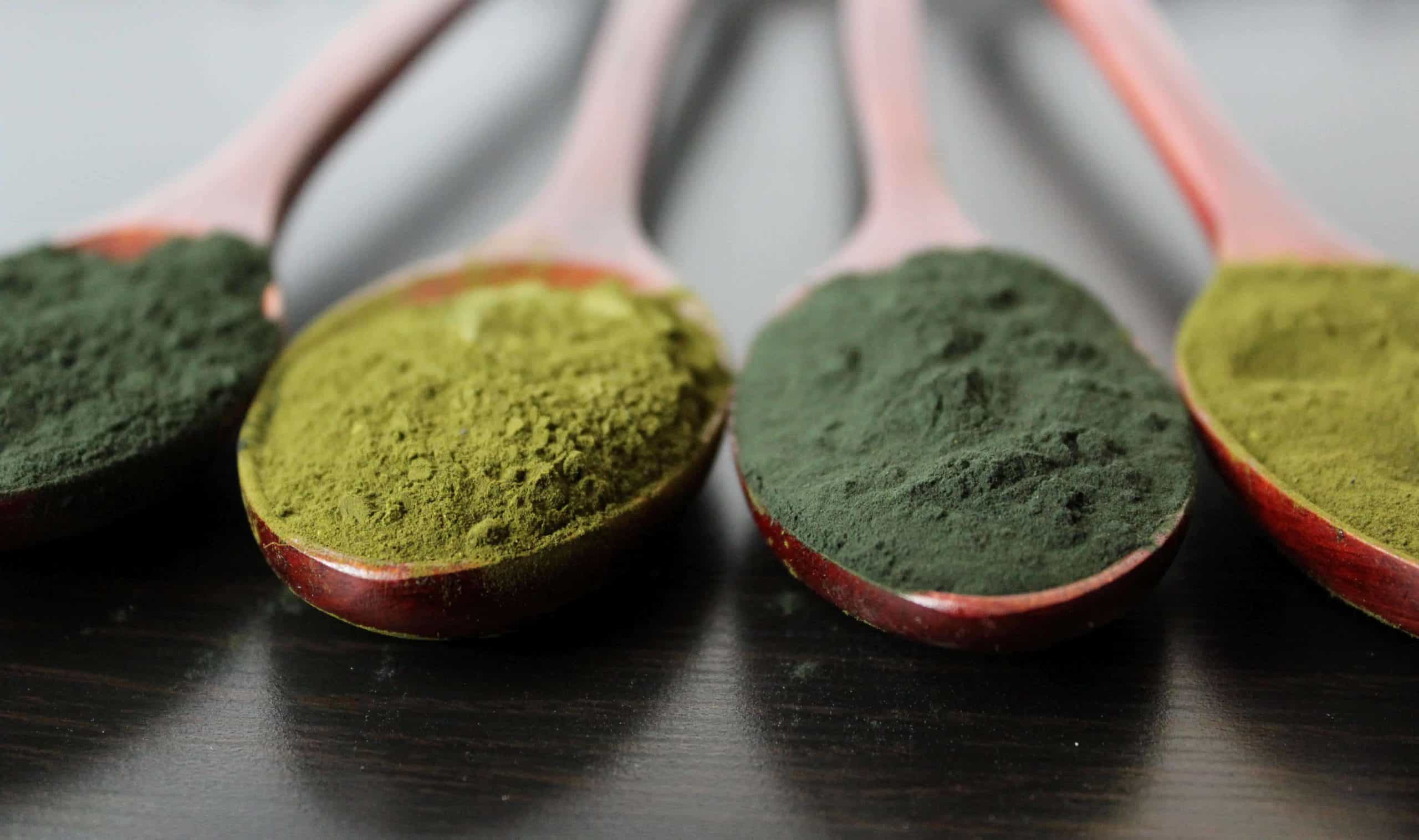 green algae powder