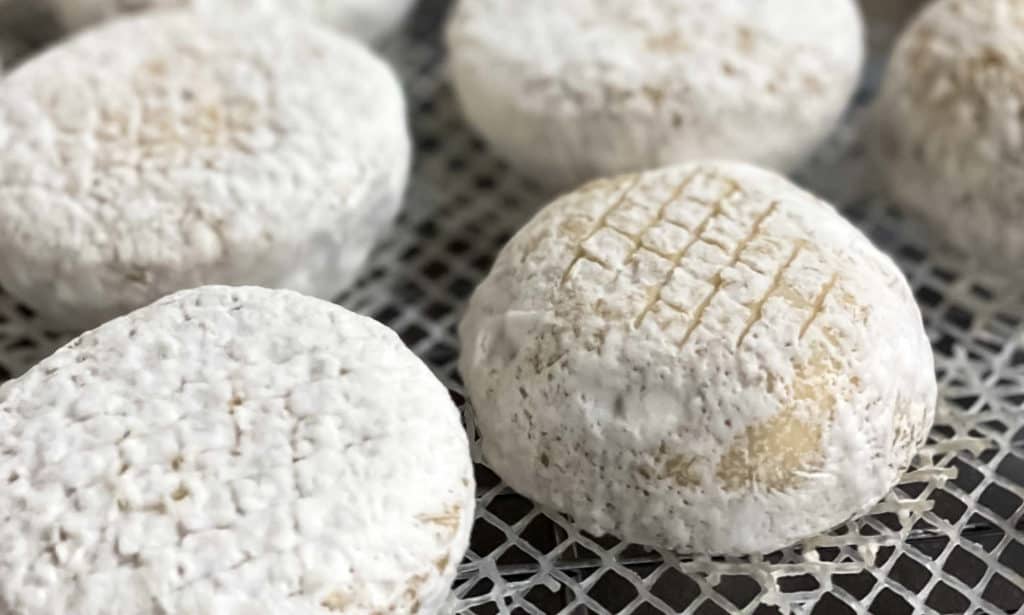 Bandit-CaveAgedMaverickRounds