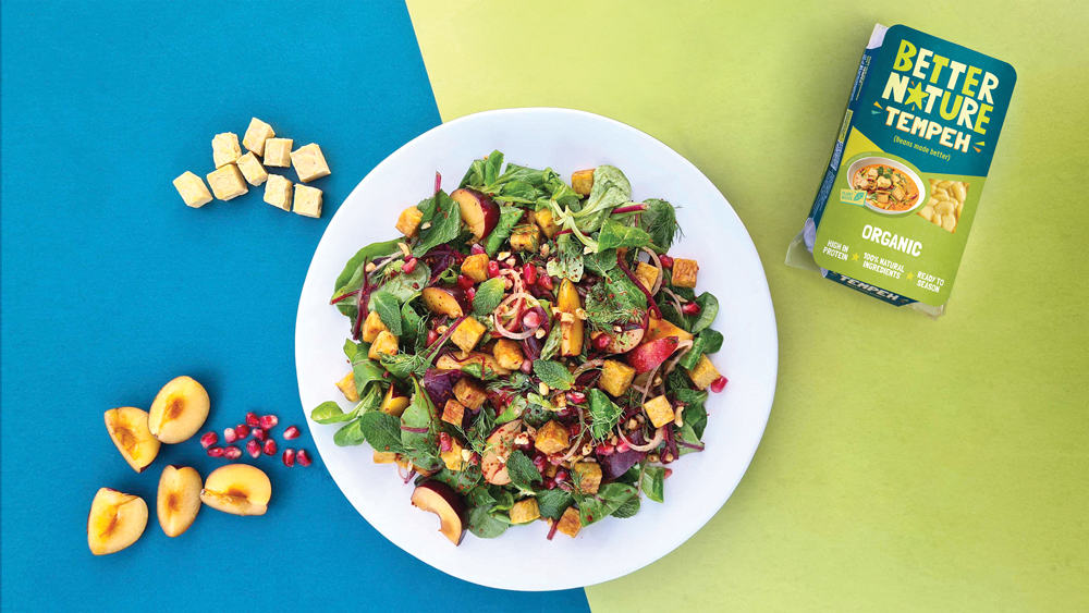 better nature tempeh