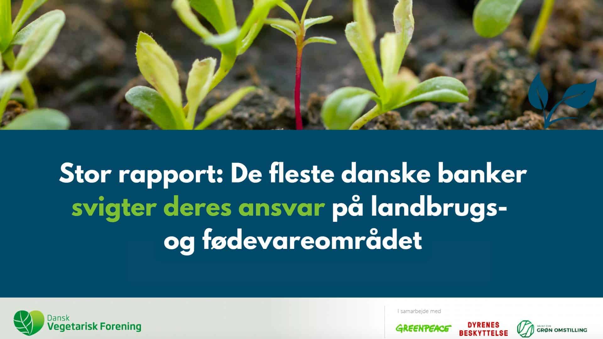 Dansk Vegetarisk Forening