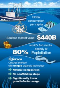 forsea foods