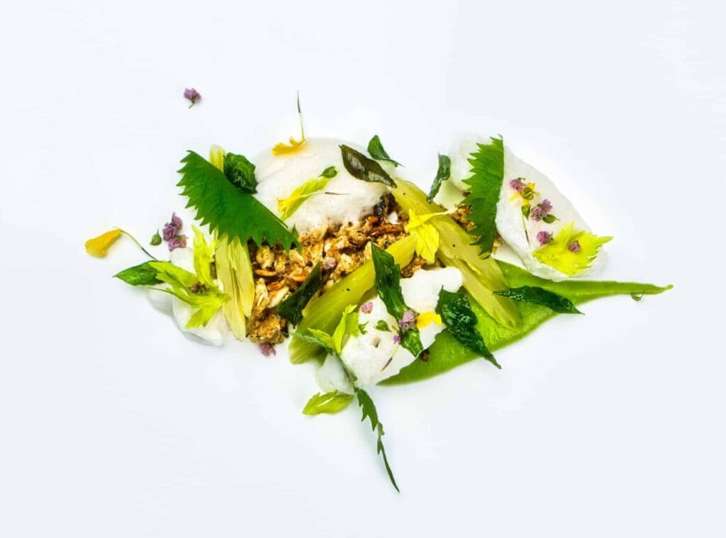 Vow erstes kultiviertes Produkt 