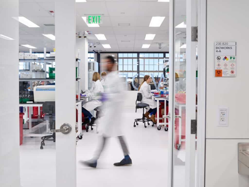 ginkgo bioworks labor
