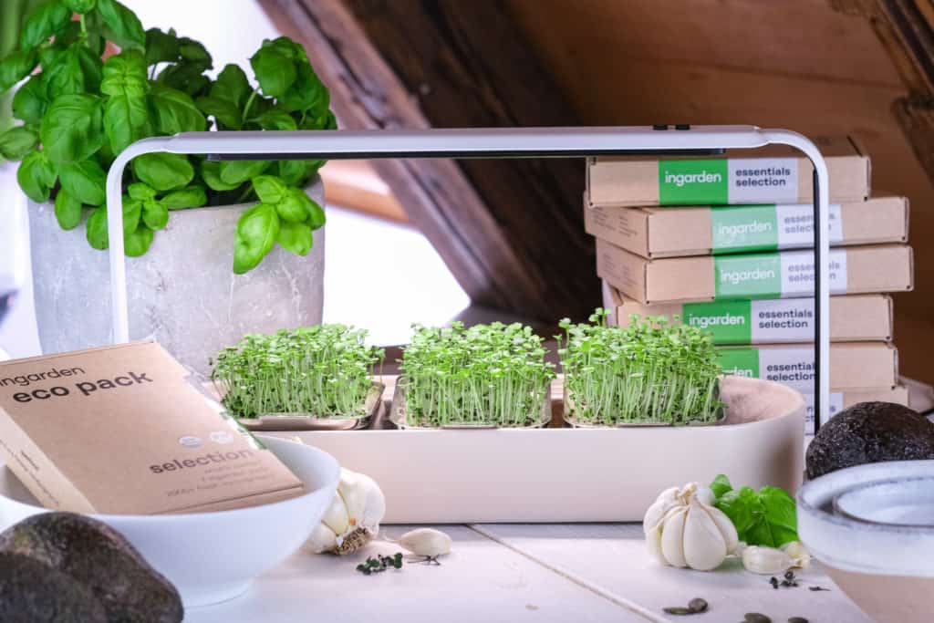 ingarden microgreens