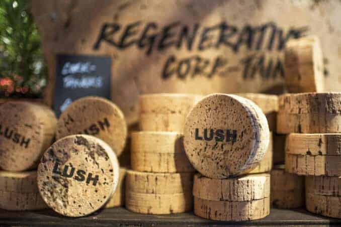 Lush CorkPot_05