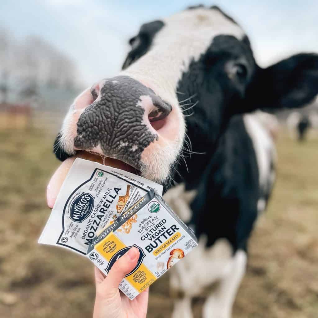 Miyoko's Creamery Produkte