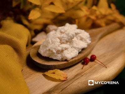 Mycorena_promyc-mit-logo