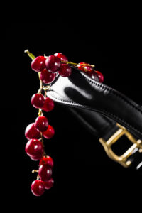 nafilia reitsport halfter