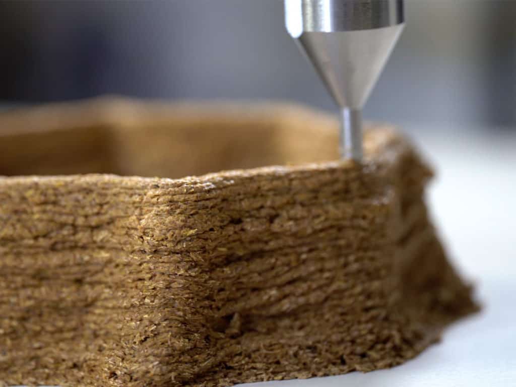 fraunhofer fungi