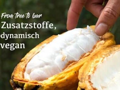 Pacari_Bild_1