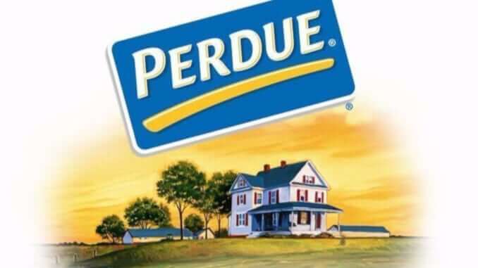 Perdue Farms Inc Logo