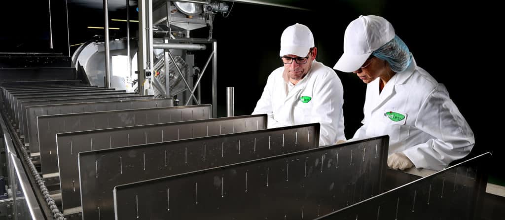 meatless produktion
