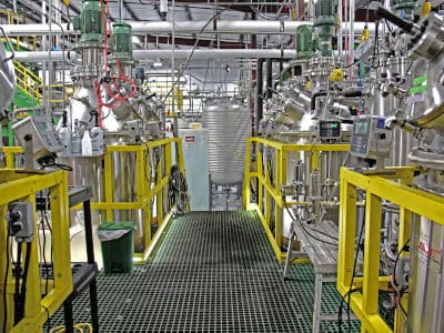 Solar Biotech Bioprozess Technologie SynBio