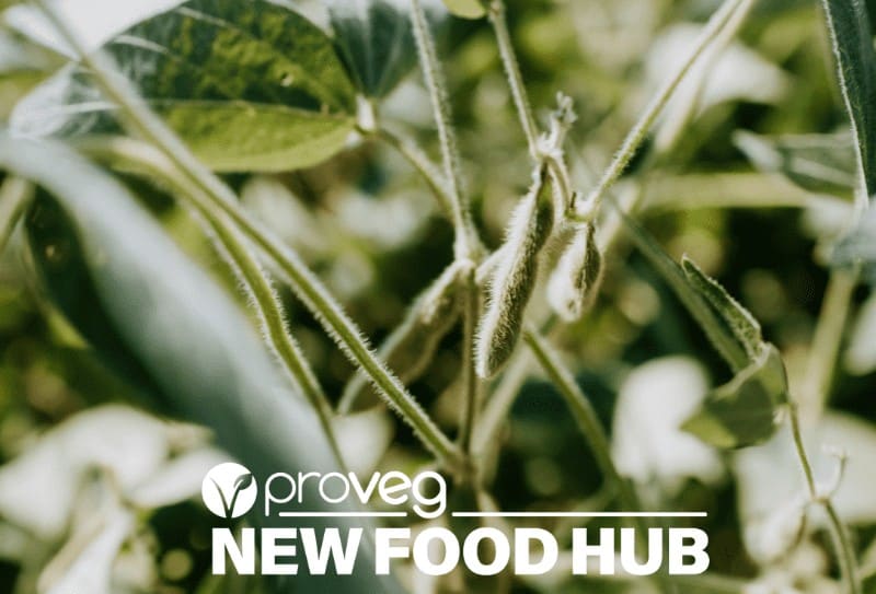 ProVeg New Food Hub