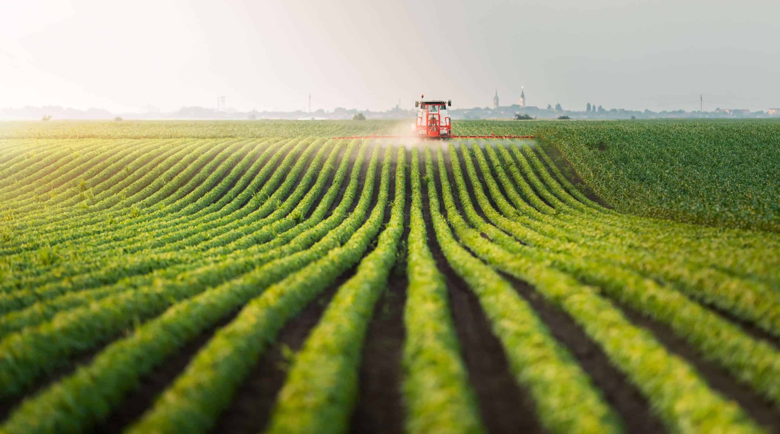 Tractor spraying pesticides at soy bean field agriculture