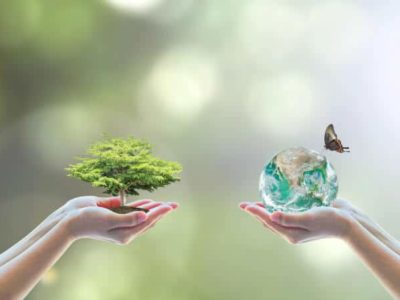 Umwelt Ökologie Nachhaltigkeit