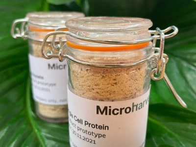 MicroHarvest Protein