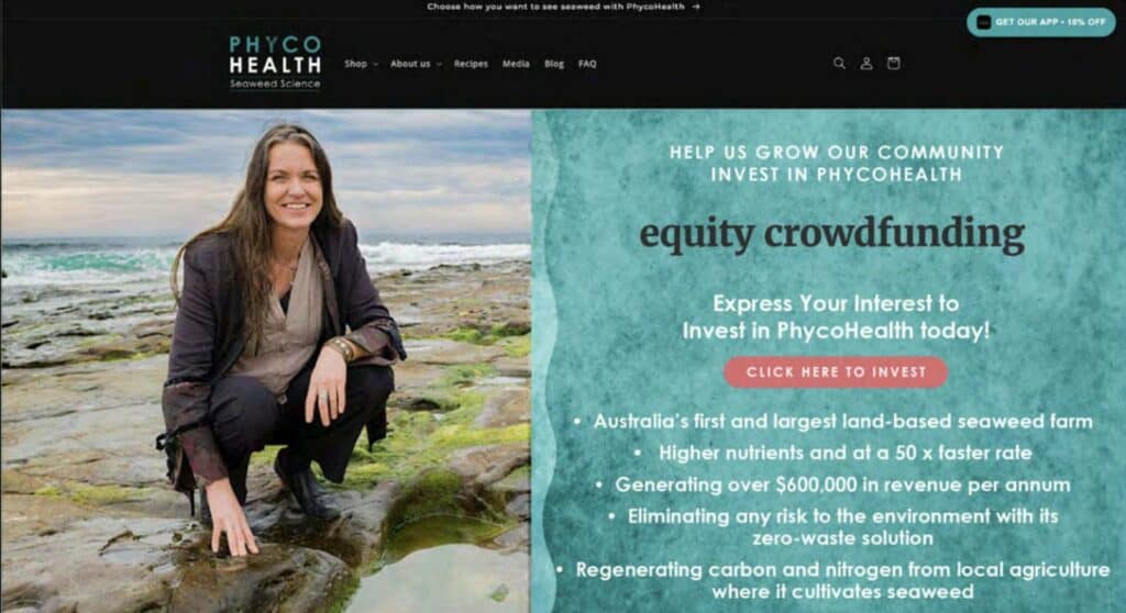 Crowdfunding website abbildung