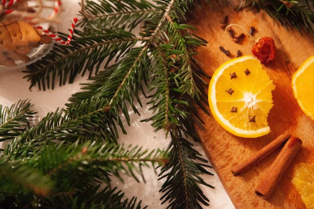 Proveg Weihnacht
