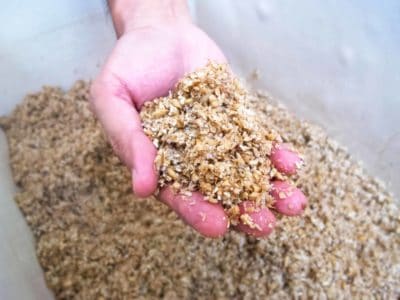 biertreber-rest-abfallprodukt-gerste-protein