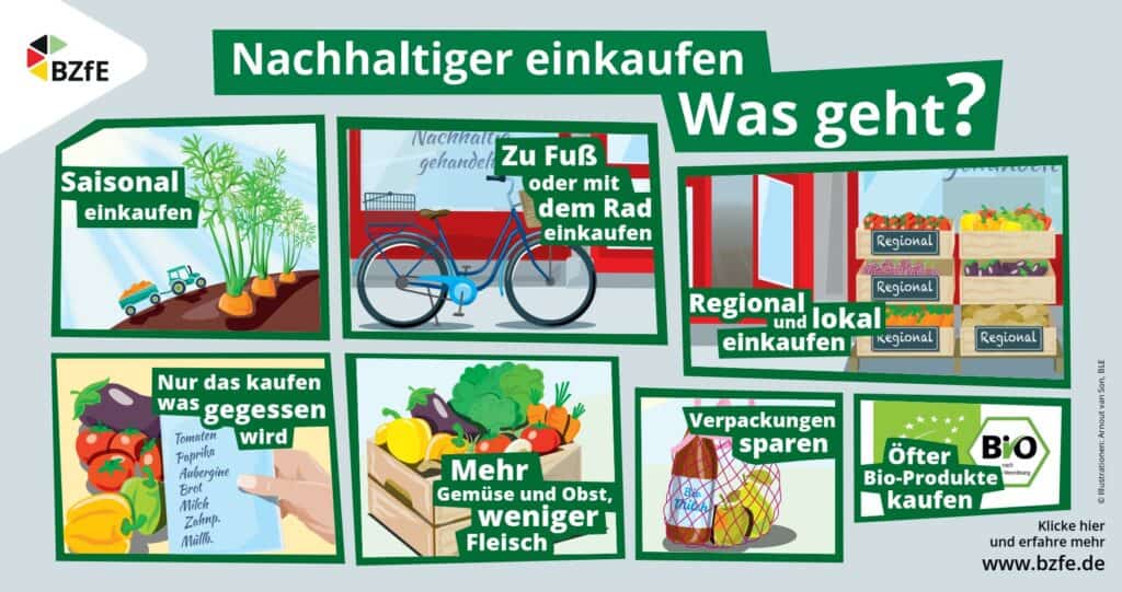 bzfe grafik