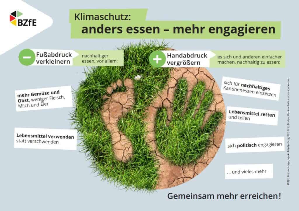 bzfe grafik