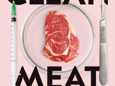 clean meat buch