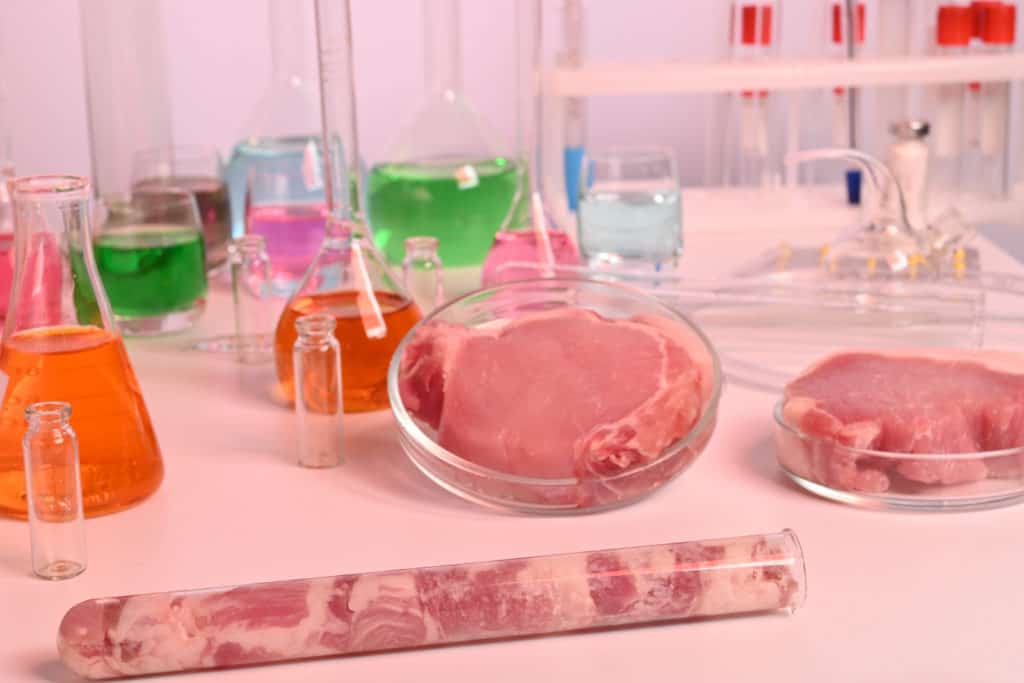 kultiviertes fleisch 