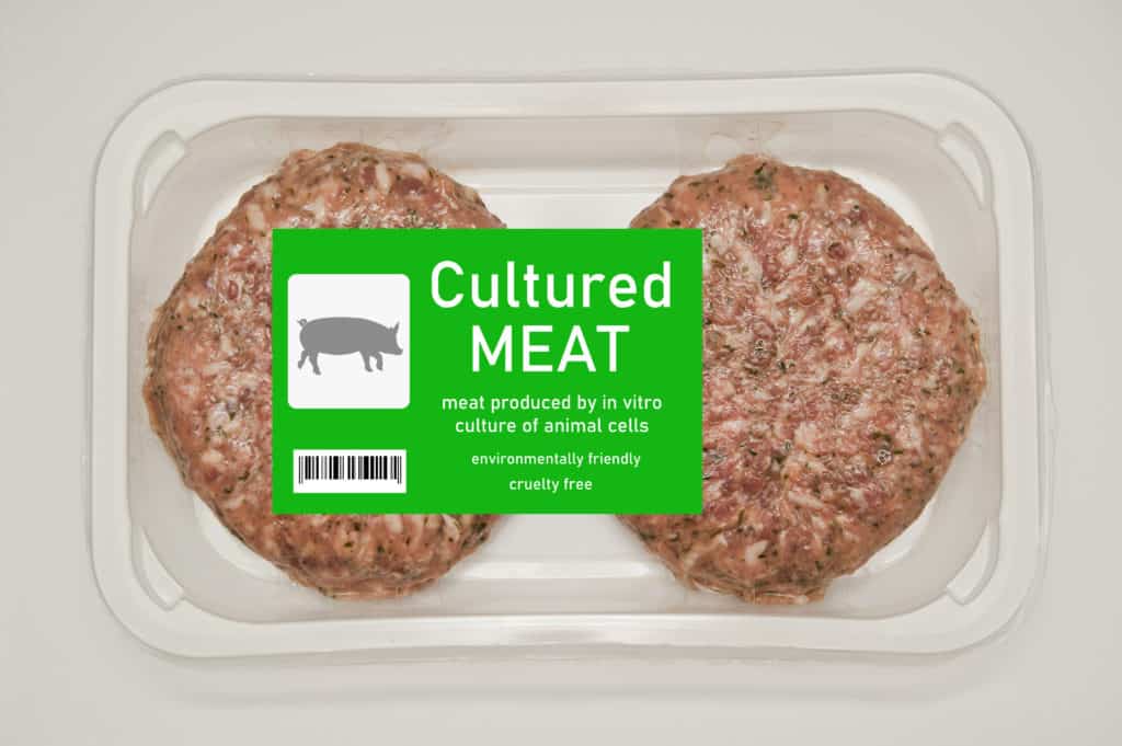 kultiviertes fleisch