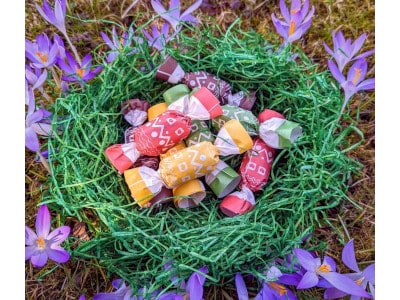 djoon vegane ostereier