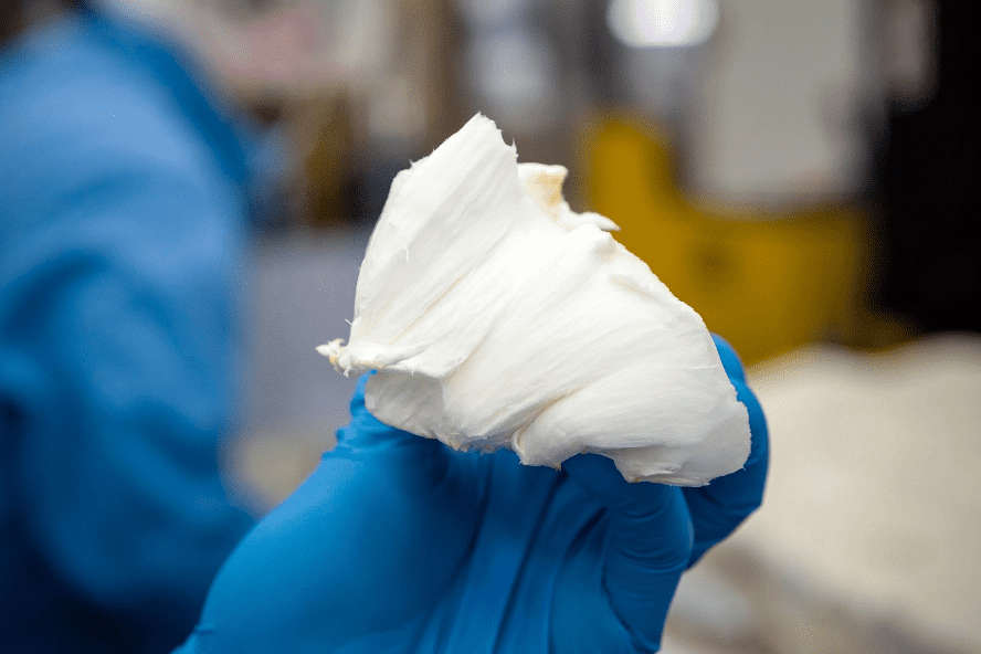 ecovative-forager-produkt-foto