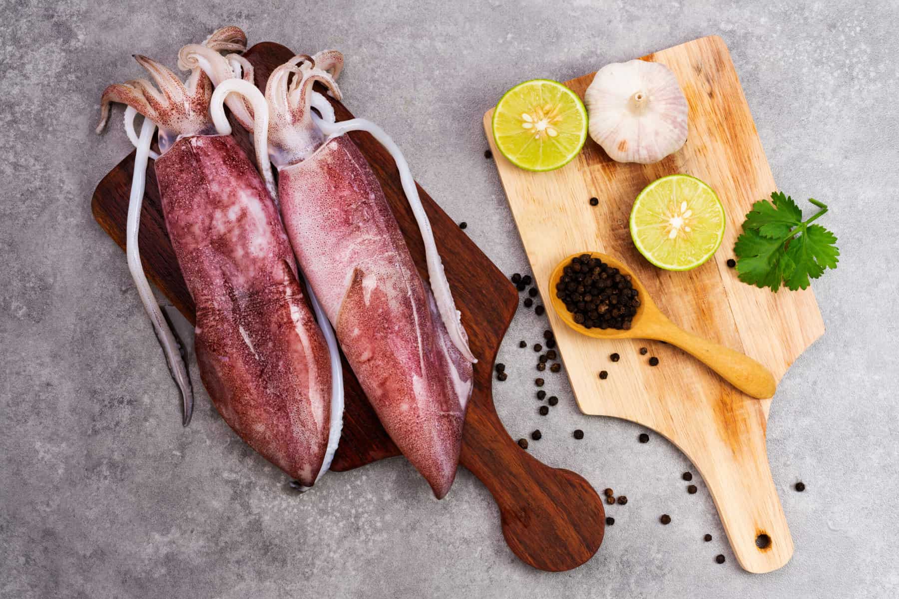 tintenfisch calamaris
