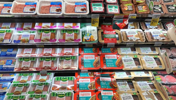 fleischalternative-fleischersatz-tiefkuehl-supermarkt-angebot-plant-based-marken-artikel