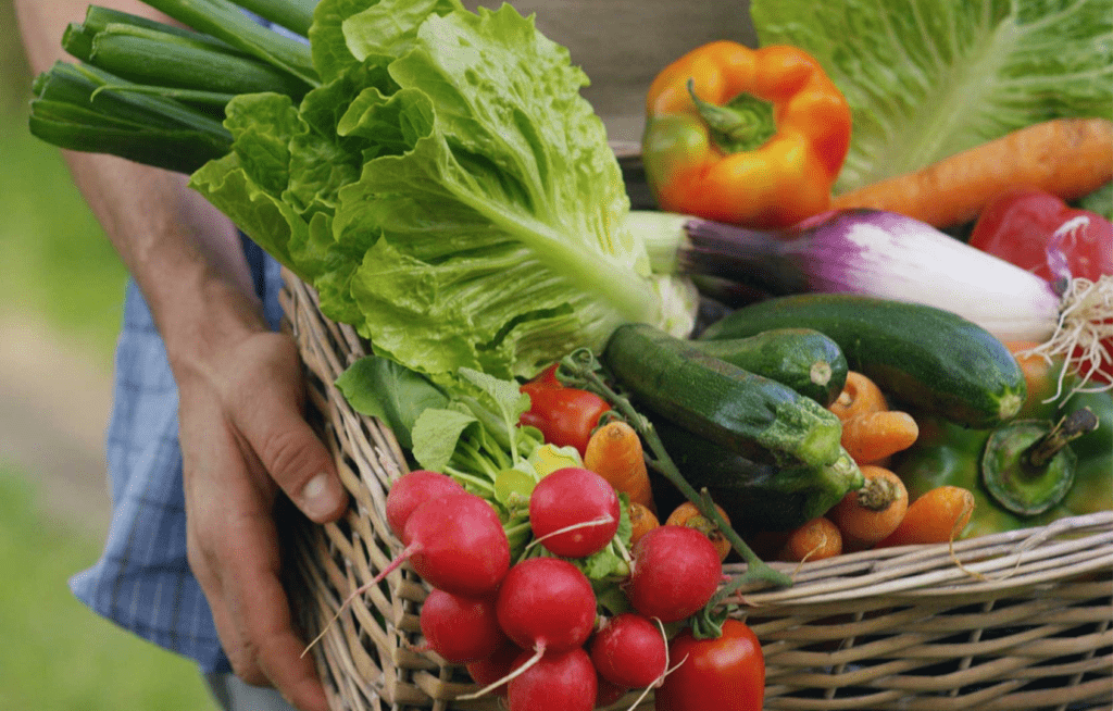 biozyklisch veganer anbau