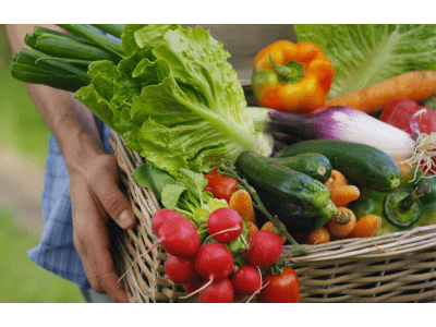 biozyklisch produziertes gemüse