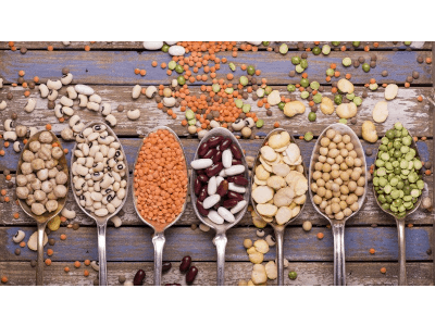 hülsenfrüchte pflanzliches protein