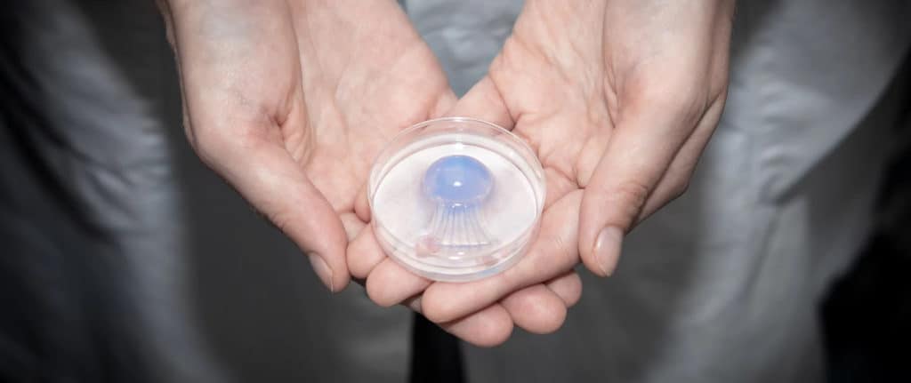 jellatech zelluläres kollagen