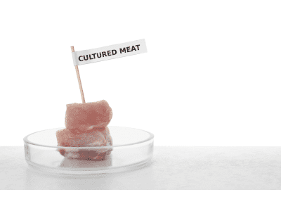 kultiviertes hühnerfleisch