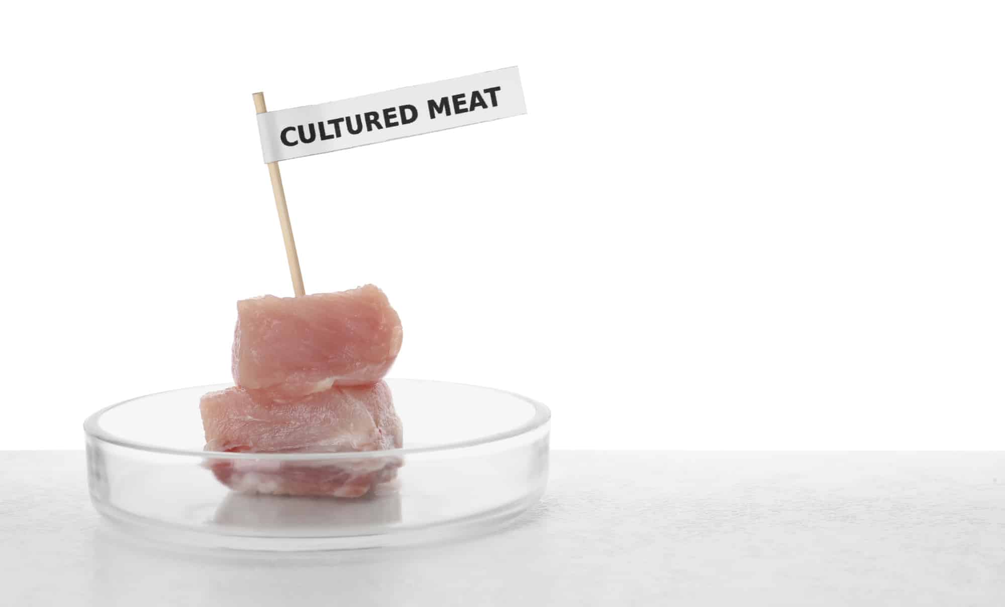 kultiviertes Fleisch