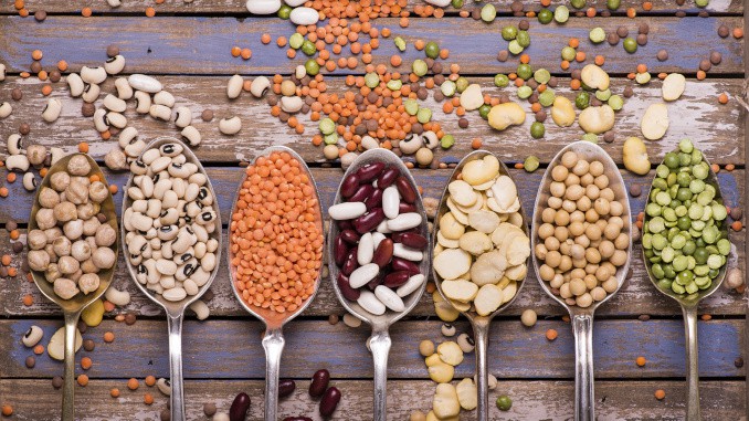 hülsenfrüchte pflanzliches protein