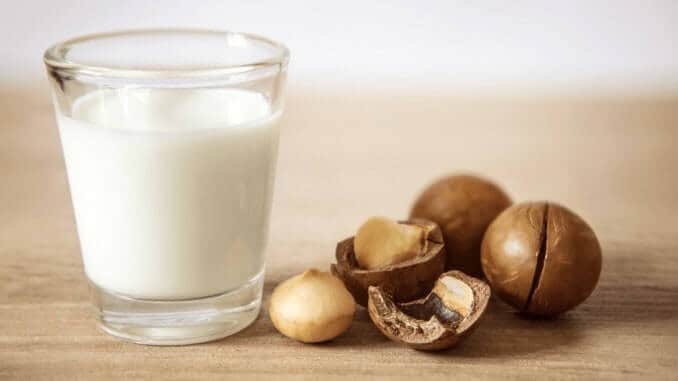 Ein Glas vegane Nussmilch von Milkadamia