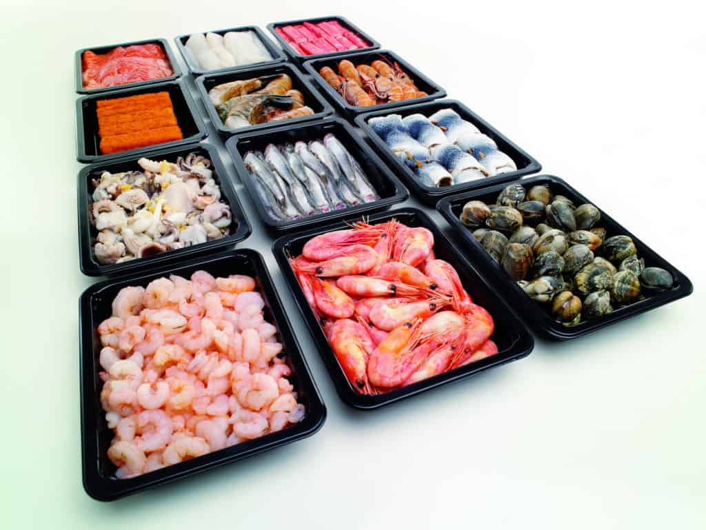 multivac kunststoff