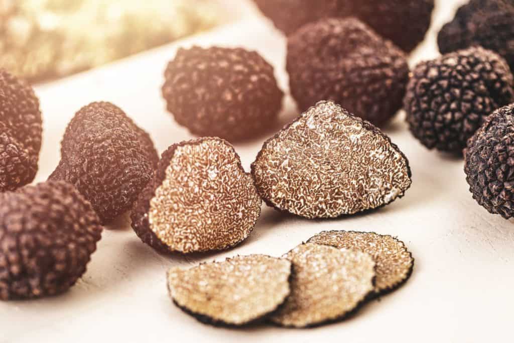 mycotechnology protein